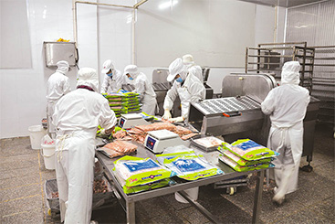 福建德威食品有限公司 福建德威食品有限公司
